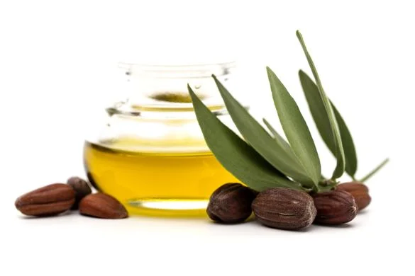 HUILE DE GRAINES DE SIMMONDSIA CHENENSIS (JOJOBA).jpg