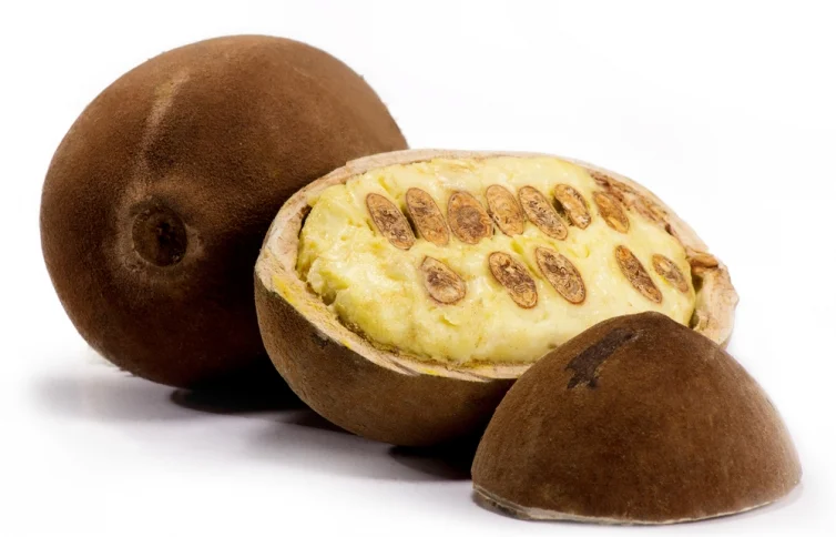 BEURRE DE CUPUACU.jpg