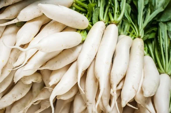 EXTRAIT DE RADIS DAIKON.jpg