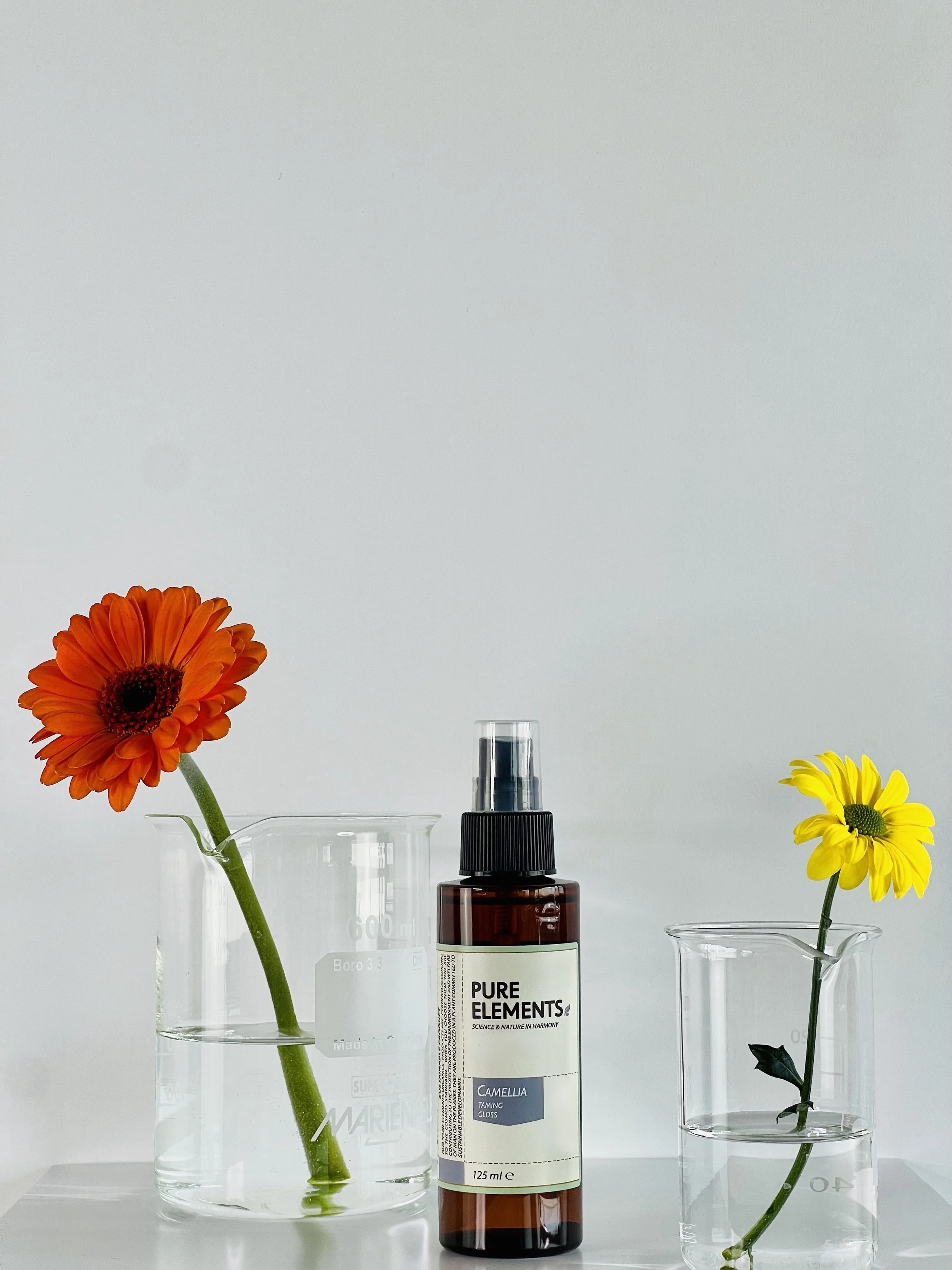 Camellia Taming Gloss  - (P1096426)