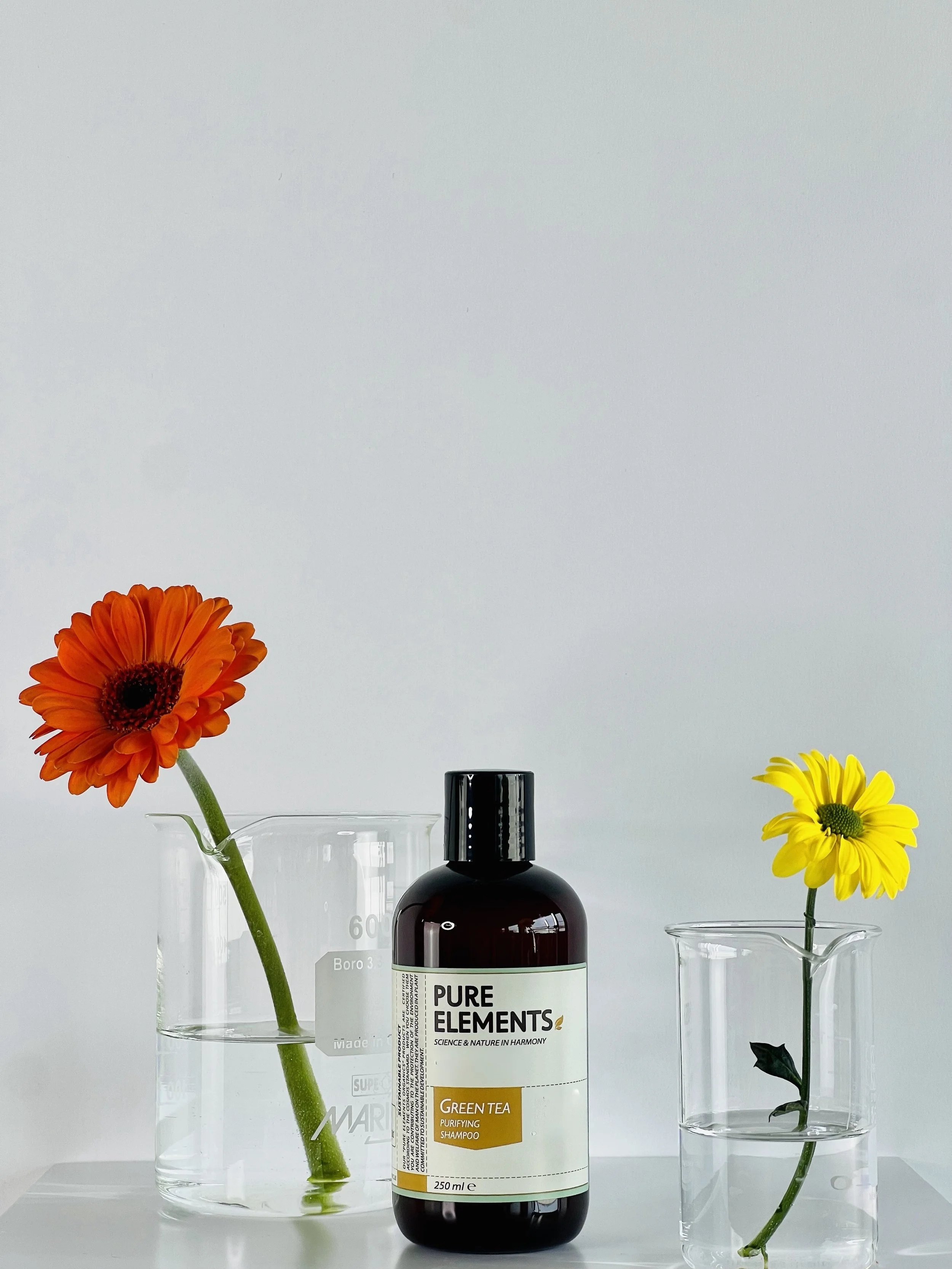 Green Tea Purifying shampoo - (P1096423)