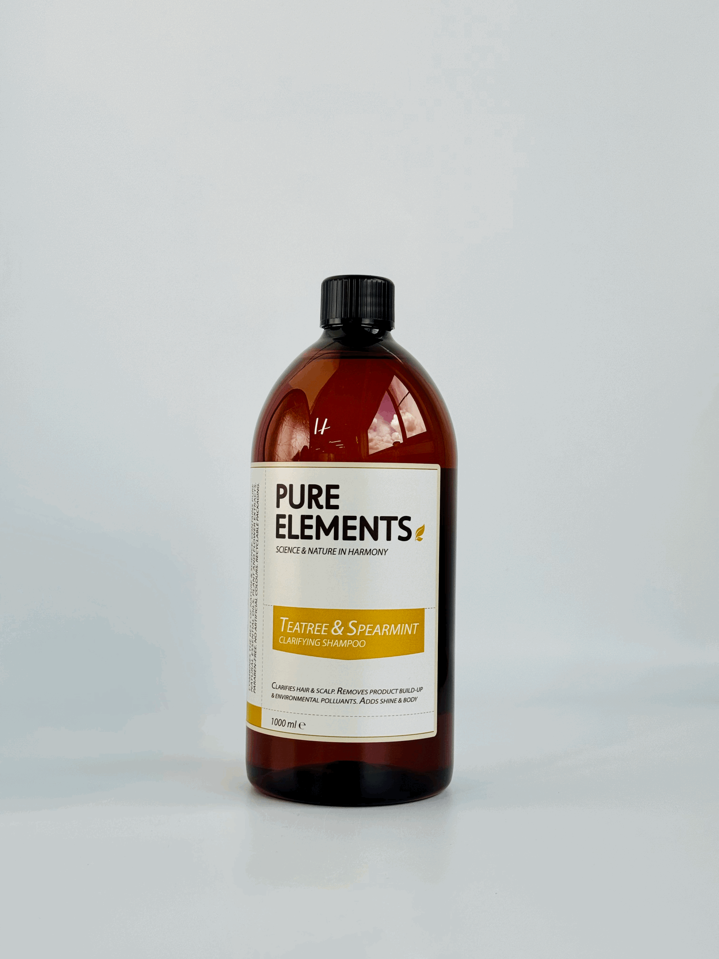 Tea Tree and Spearmint Clarifying Family Size