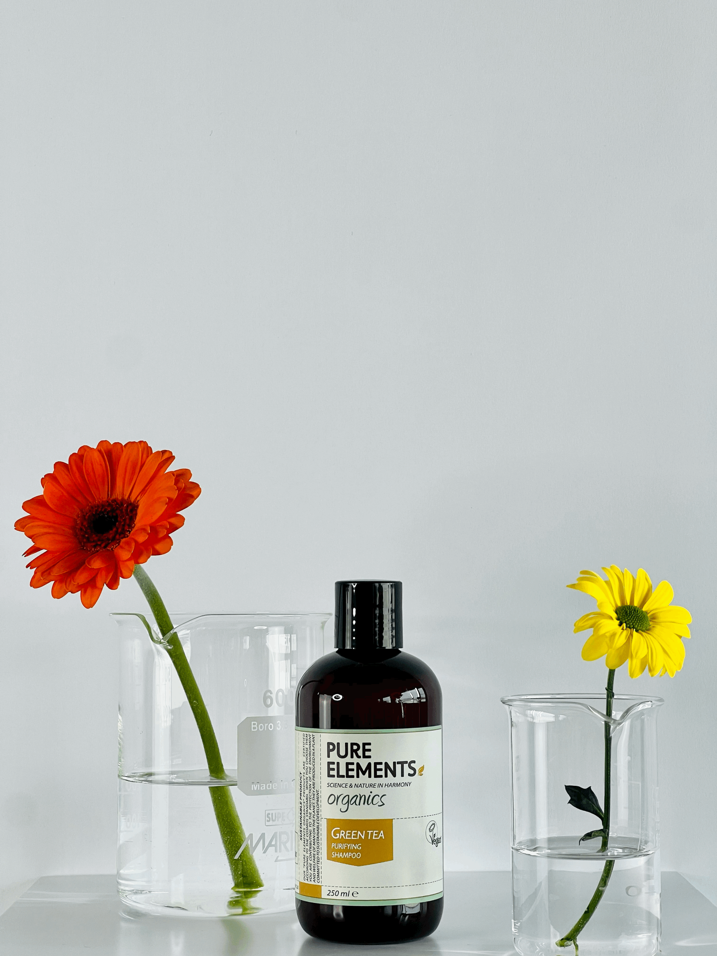 Green Tea Purifying shampoo - (P1096423)