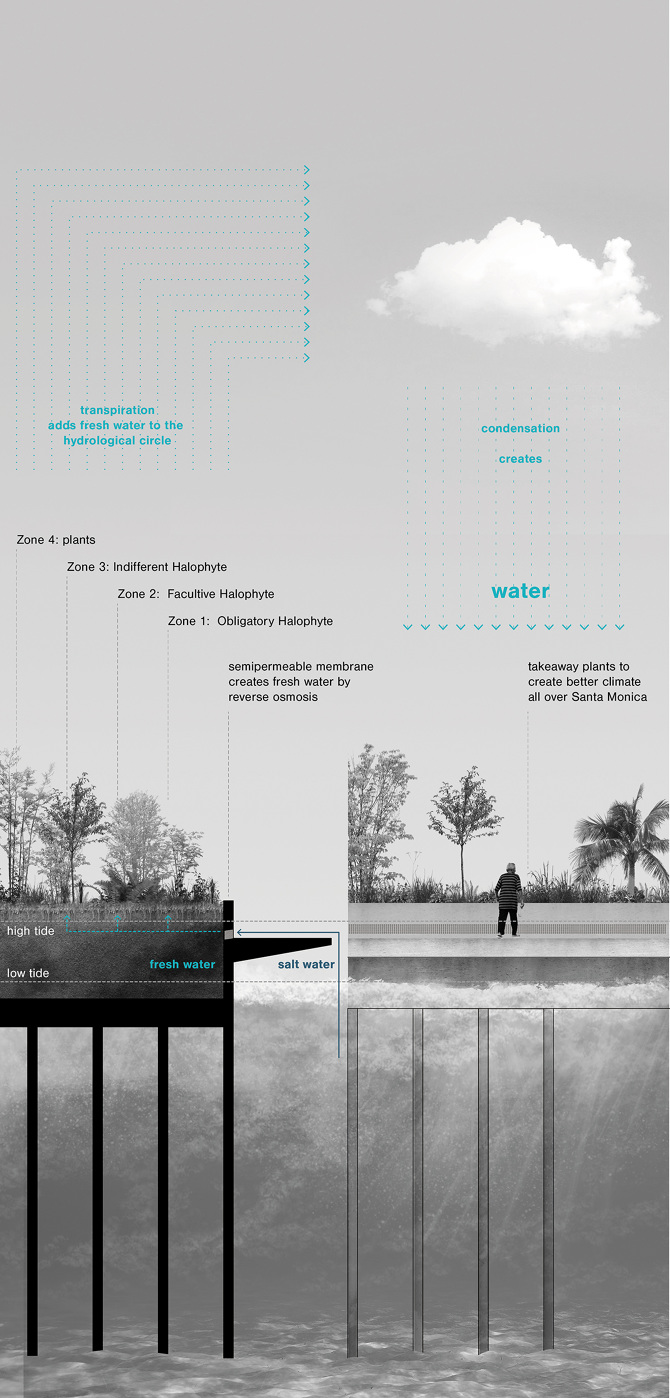 Concept Section