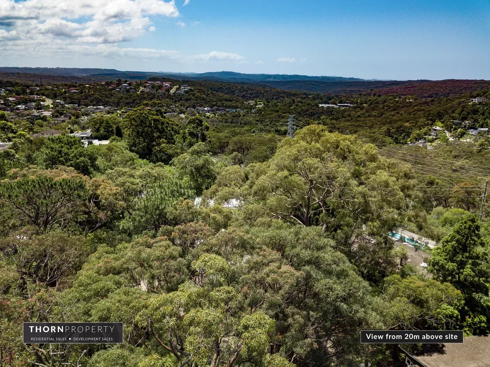  13 Gladys Avenue Frenchs Forest Development Site 