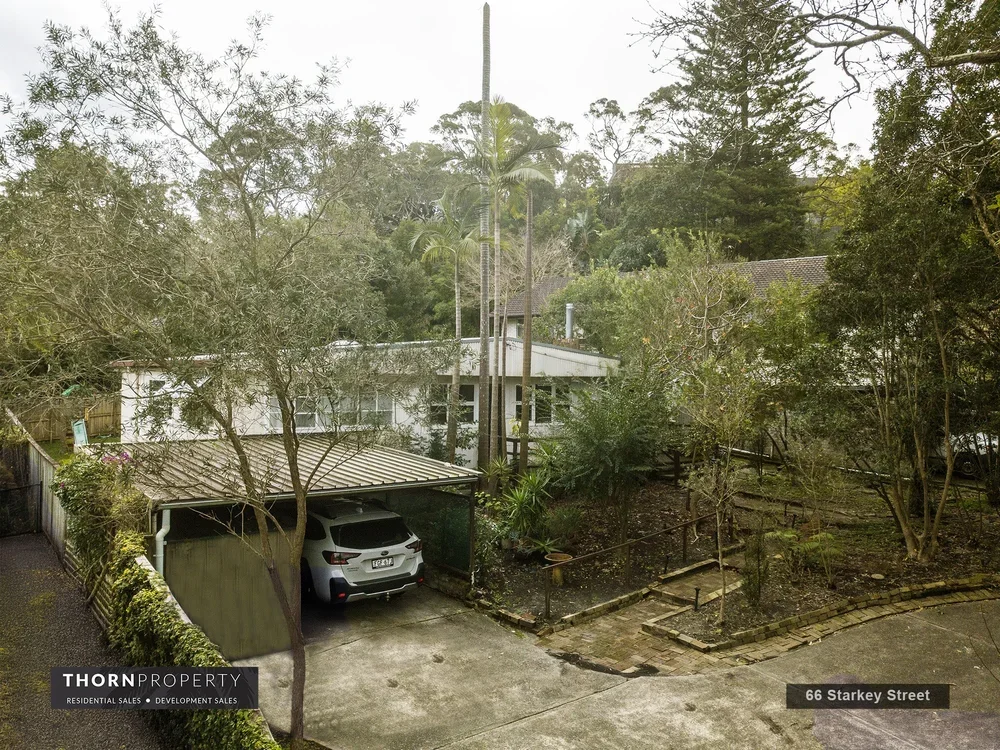  66 Starkey Street Forestville Low-Rise Development Site 