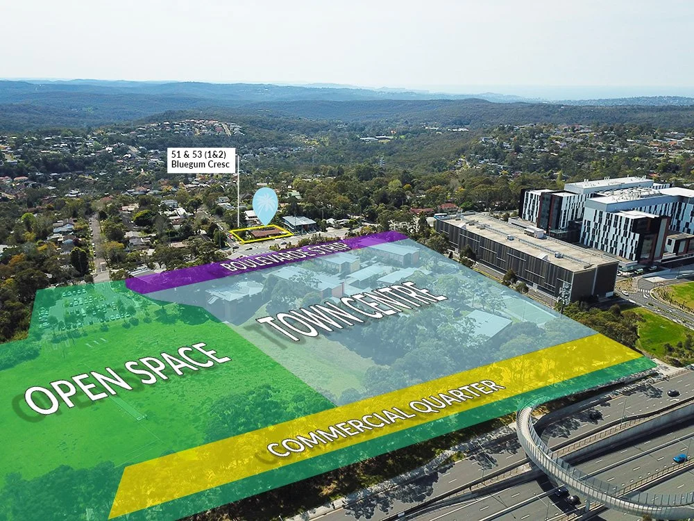 51-53 bluegum from warringah road copy.jpg