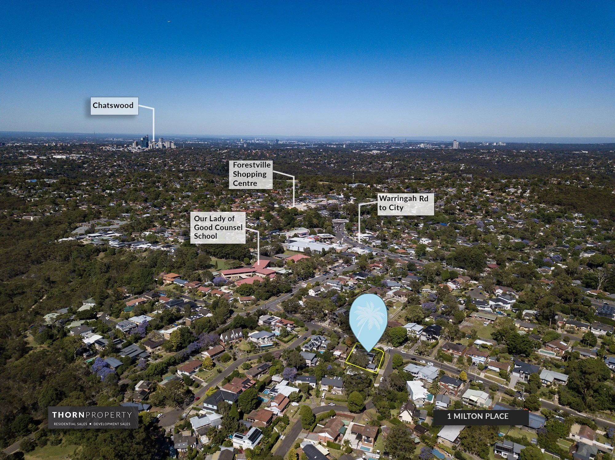 Looking back to Chatswood copy.jpg
