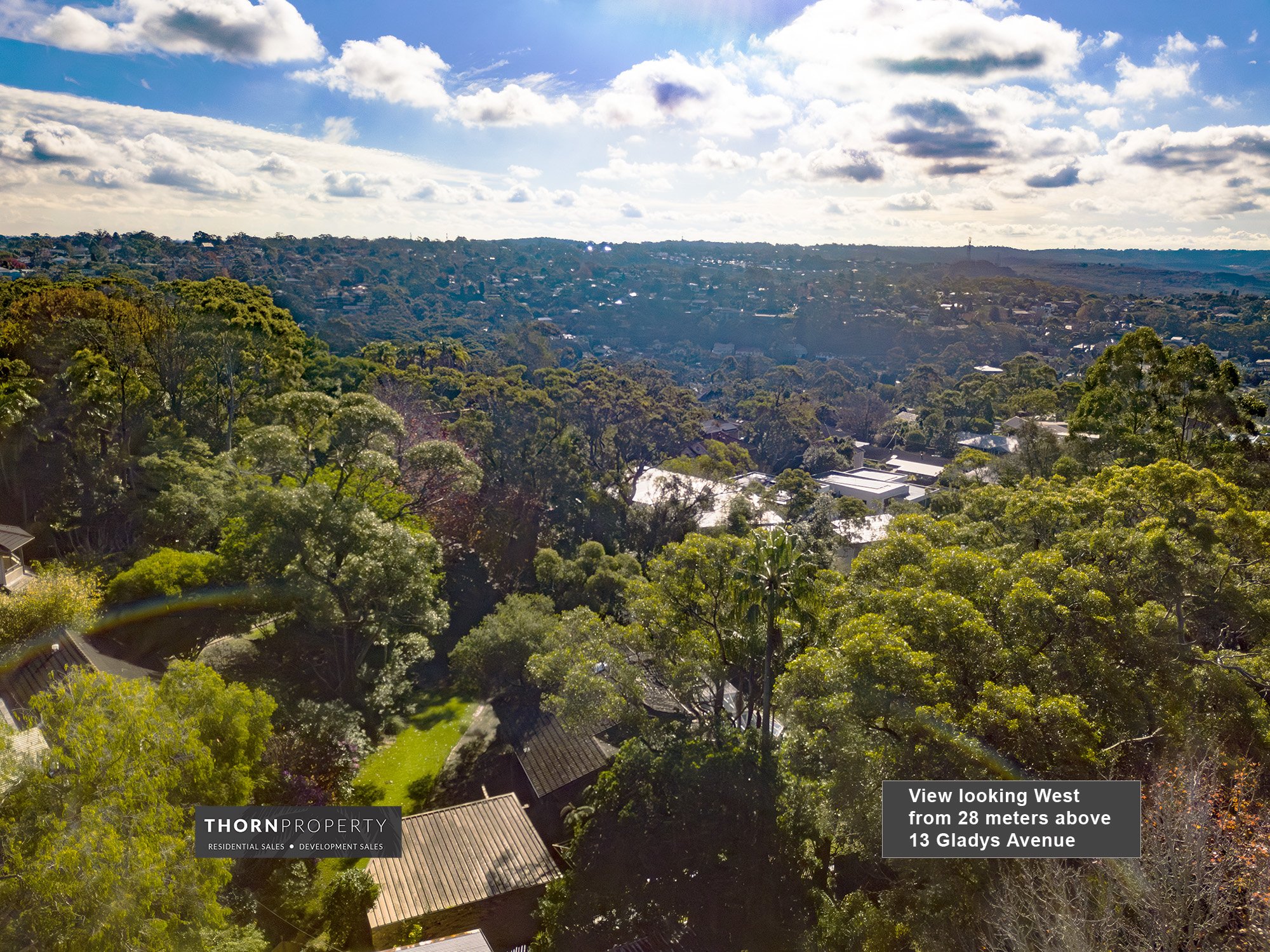 View looking west from 28m above copy.jpg
