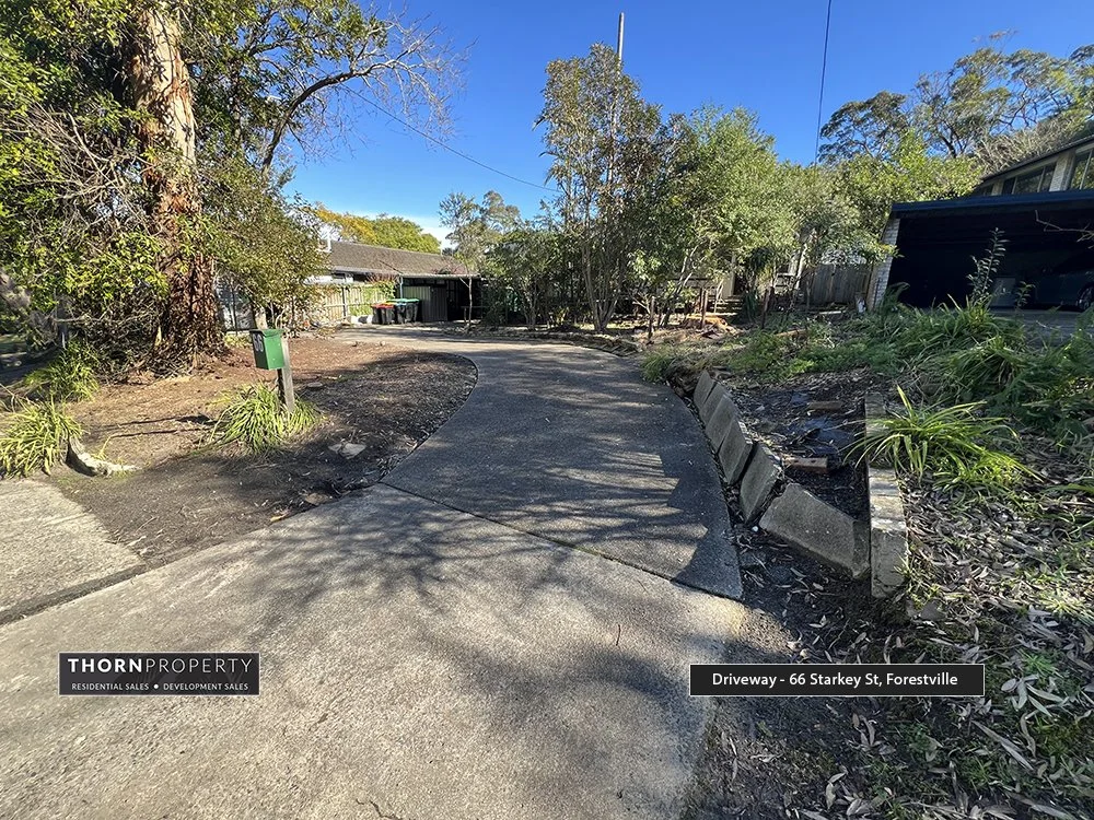 Driveway looking from street copy.jpg