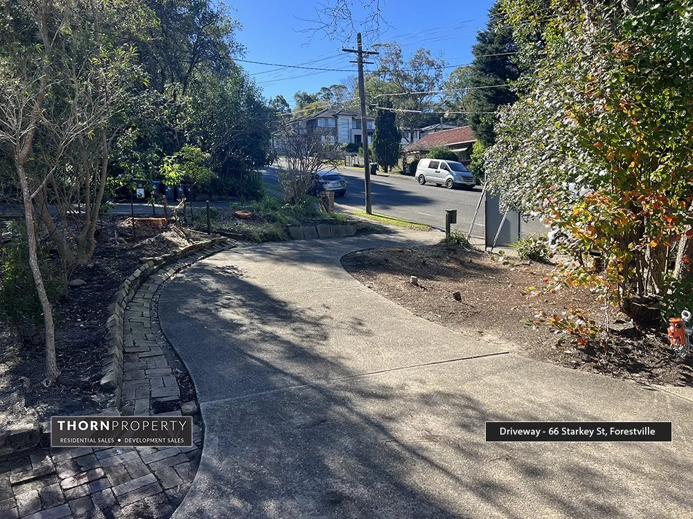 Driveway looking north copy.jpg