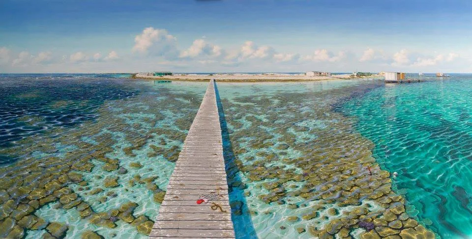 SOLD  |  Jackson's Island II