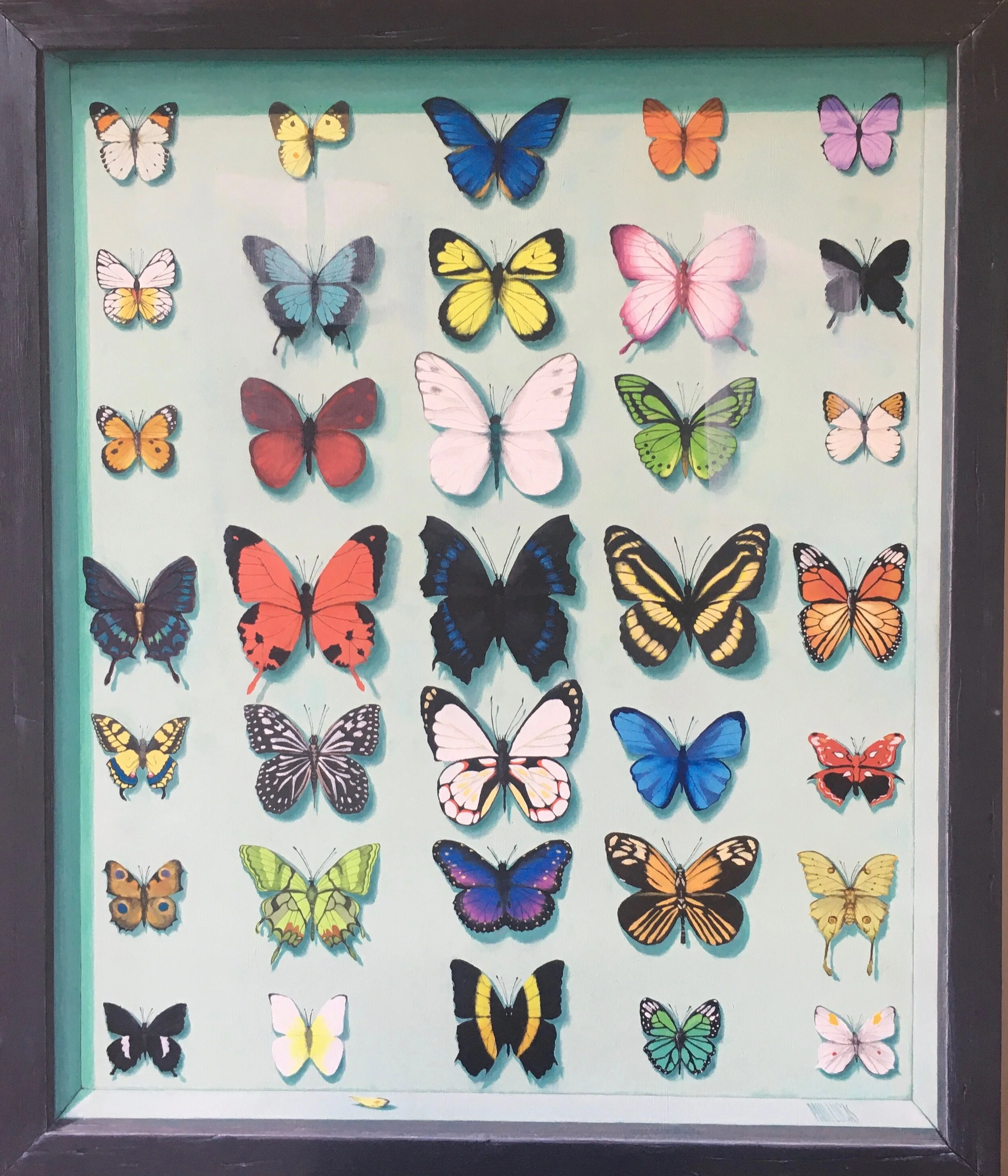 'The Butterflies' in Boxed Frame (trompe l oeil)