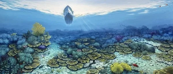 SOLD | Working the Reef, Abrolhos Islands