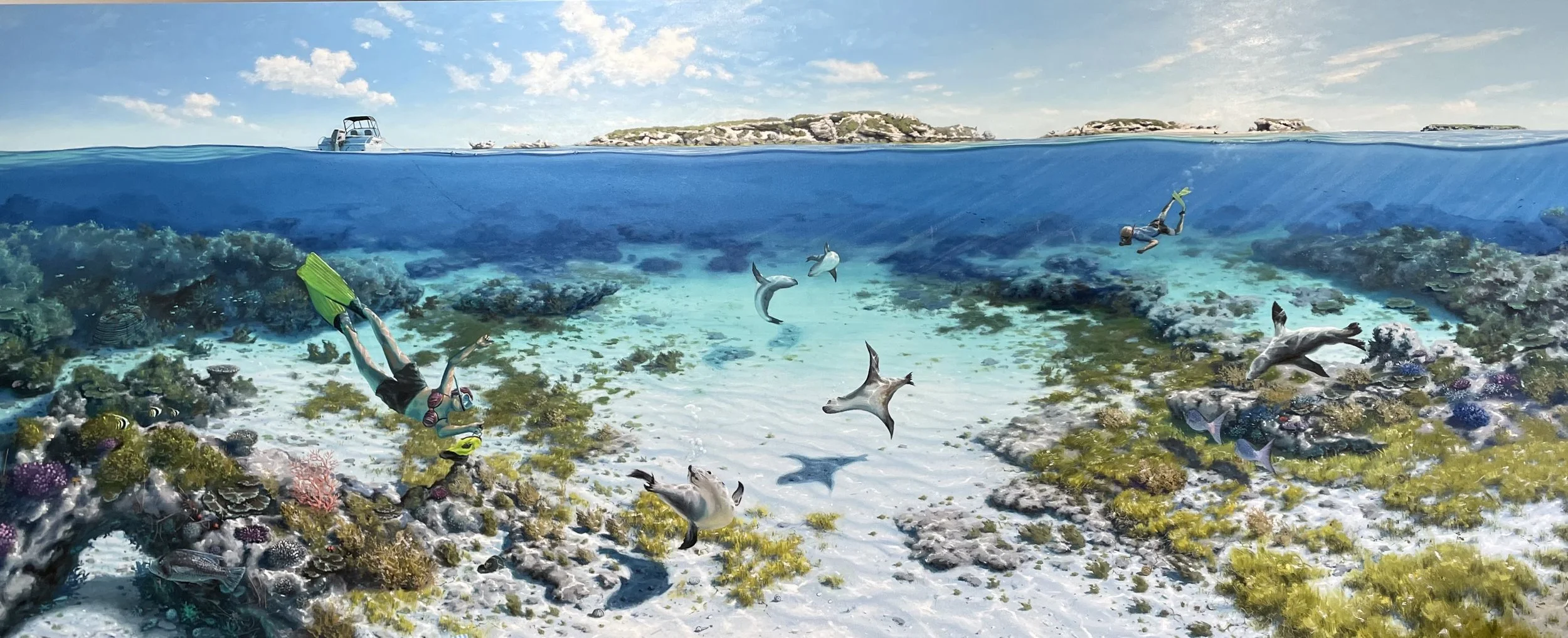 SOLS | Cervantes Island, Cervantes (Commissioned)