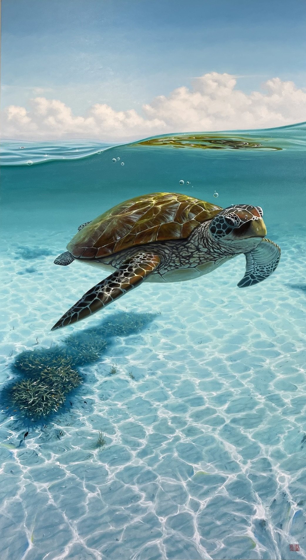 SOLD | Trevor the Turtle (Commissioned)