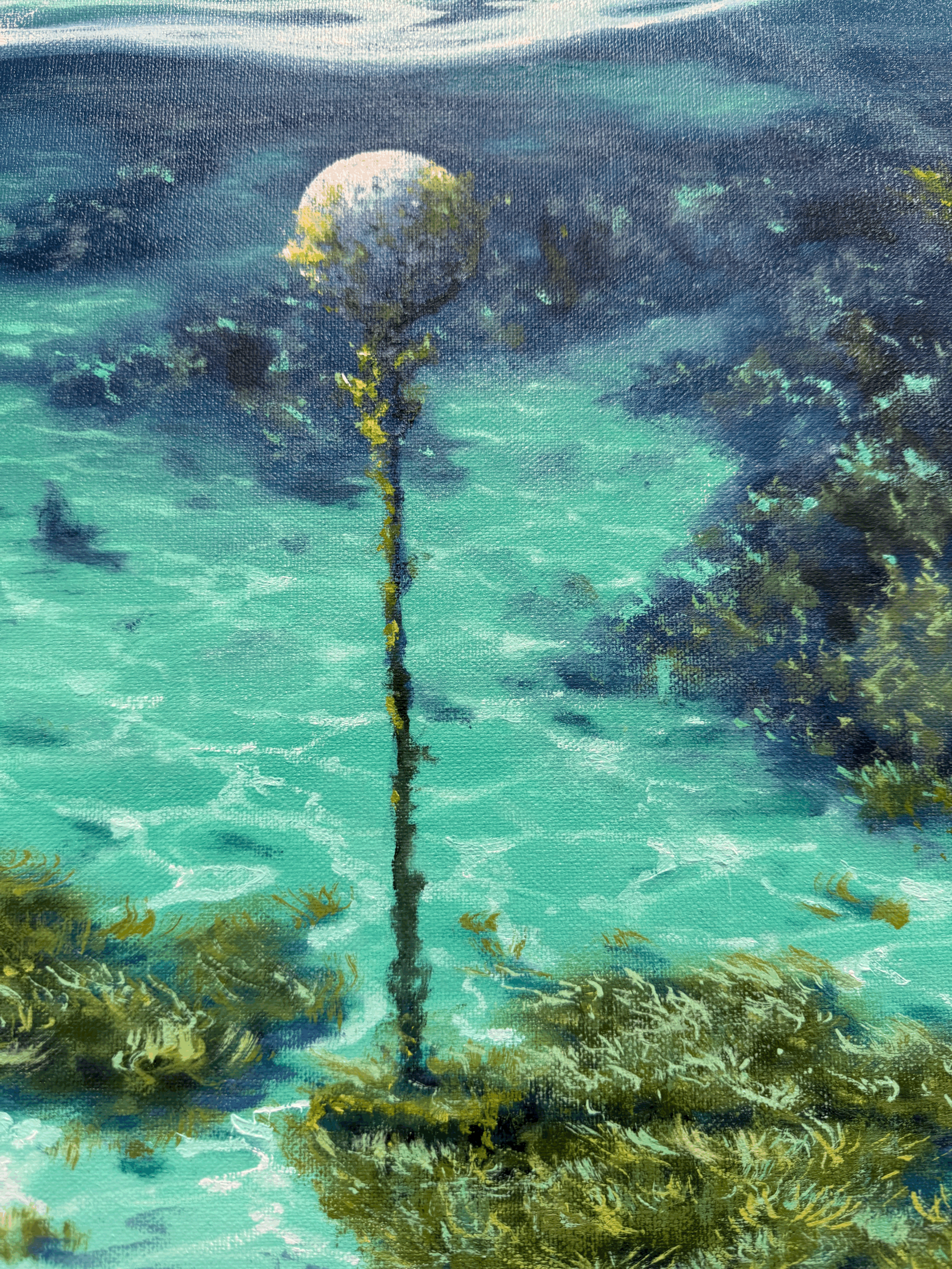 tempImagelXlYUL.gif
