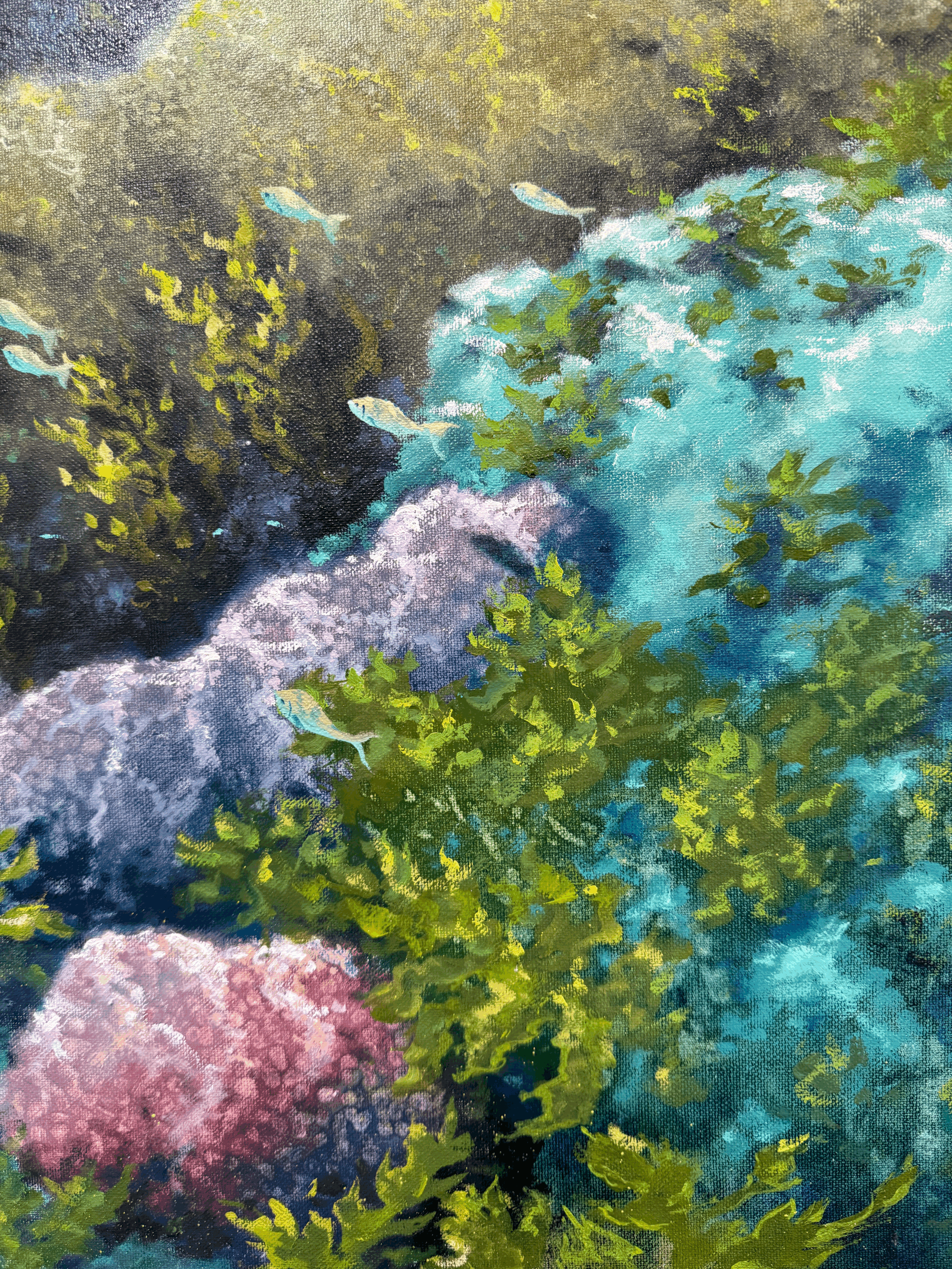 tempImagevU3B0j.gif