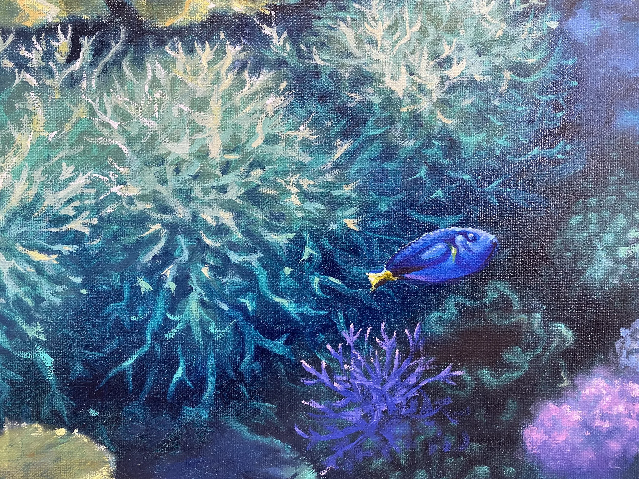 CORAL FIELDS  (Limited Edition)