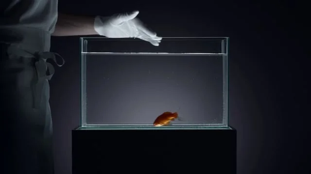 Camille Tanoh starring The Proper Sneaker/ Director: Loren Denis (Same / HSI)/ Dop: Sylvestre Dedise/ Colorist: Anne Szymkowiak.