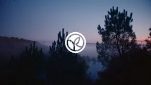 yvesrocher - director's cut / director: maud chalard / colorist: anne szymkowiak