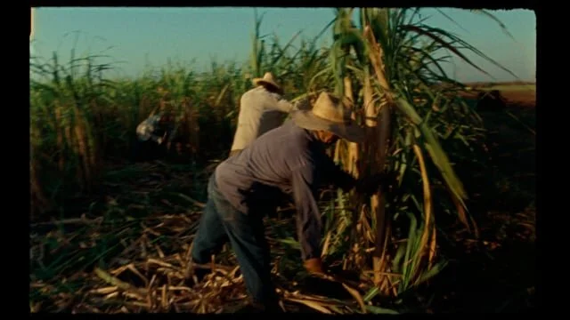 Eminente - the maestro