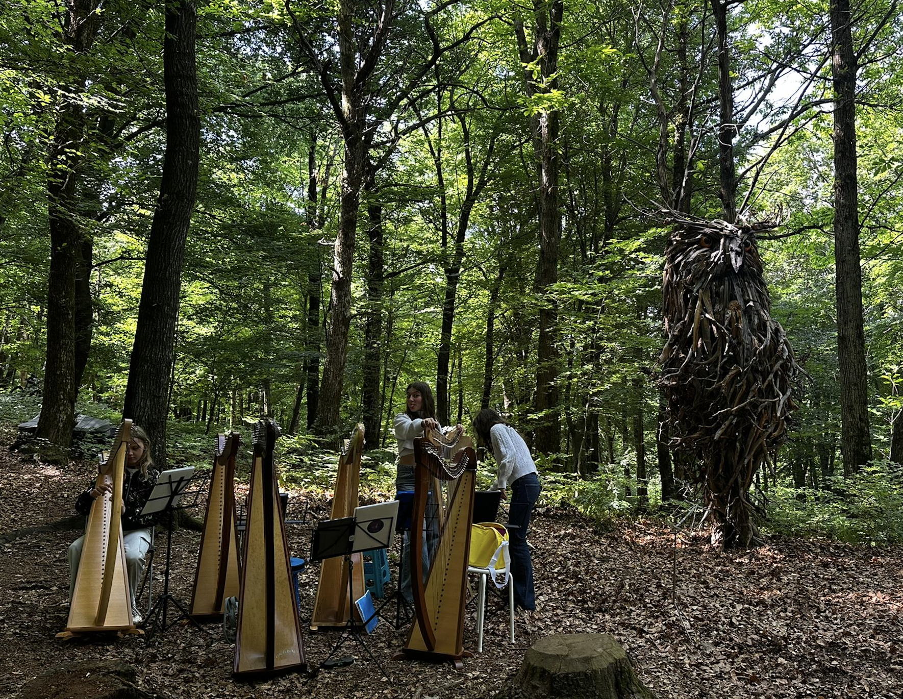 Concerto d'arpe nel bosco di Redde
