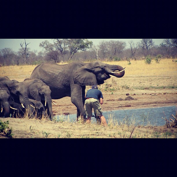 « The fate of a king » South Africa