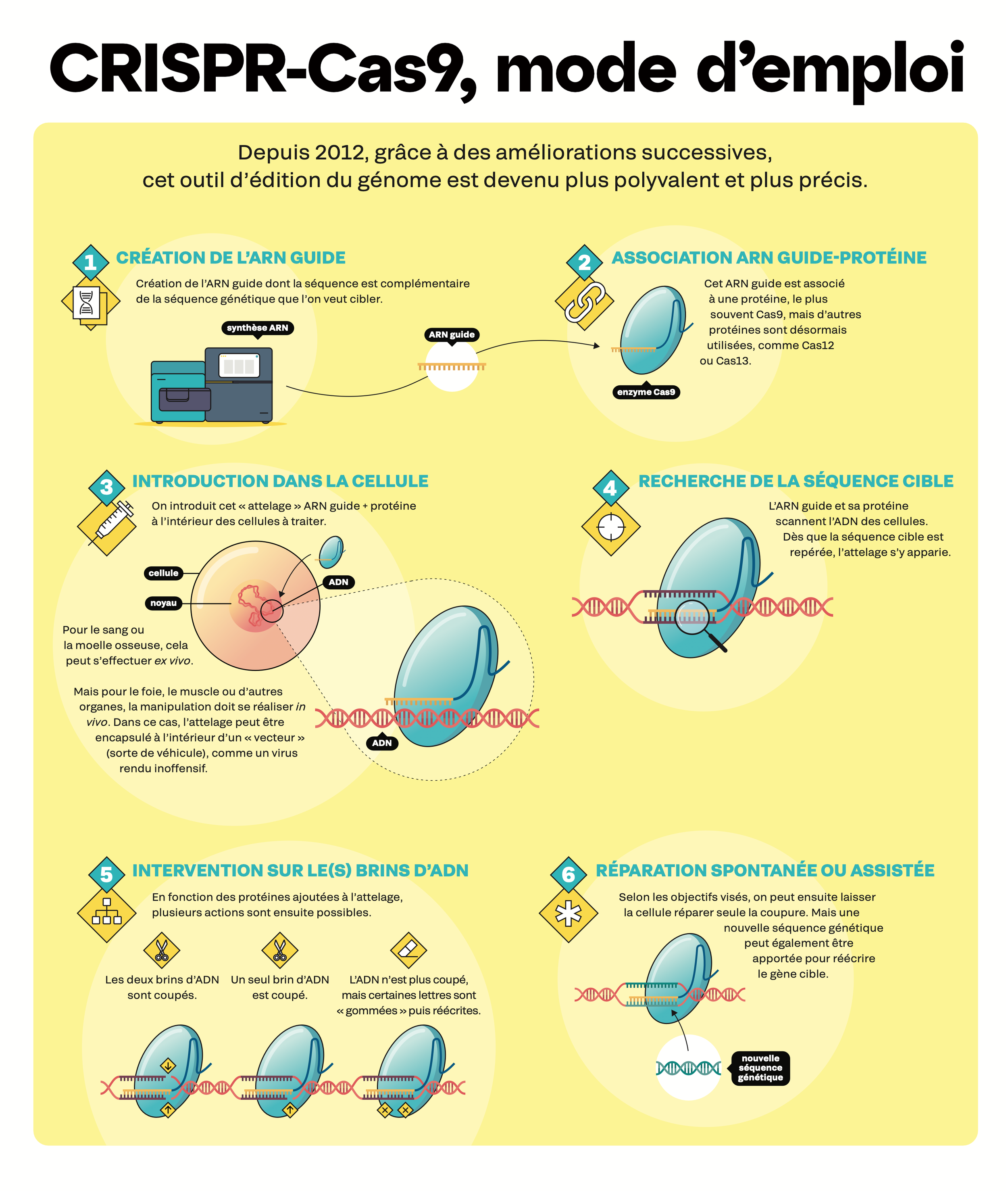 89-crispr2023.png