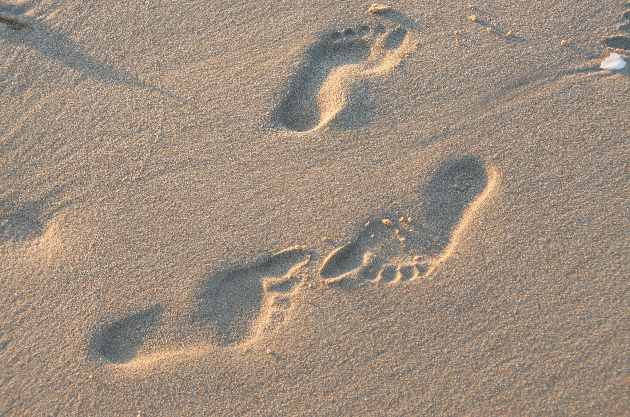 15133367485_27055d7486_k.jpg
