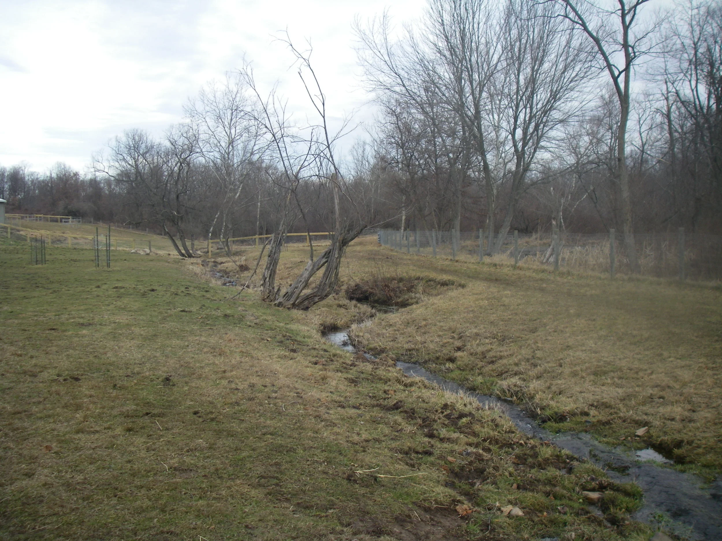 IMGP5396.JPG