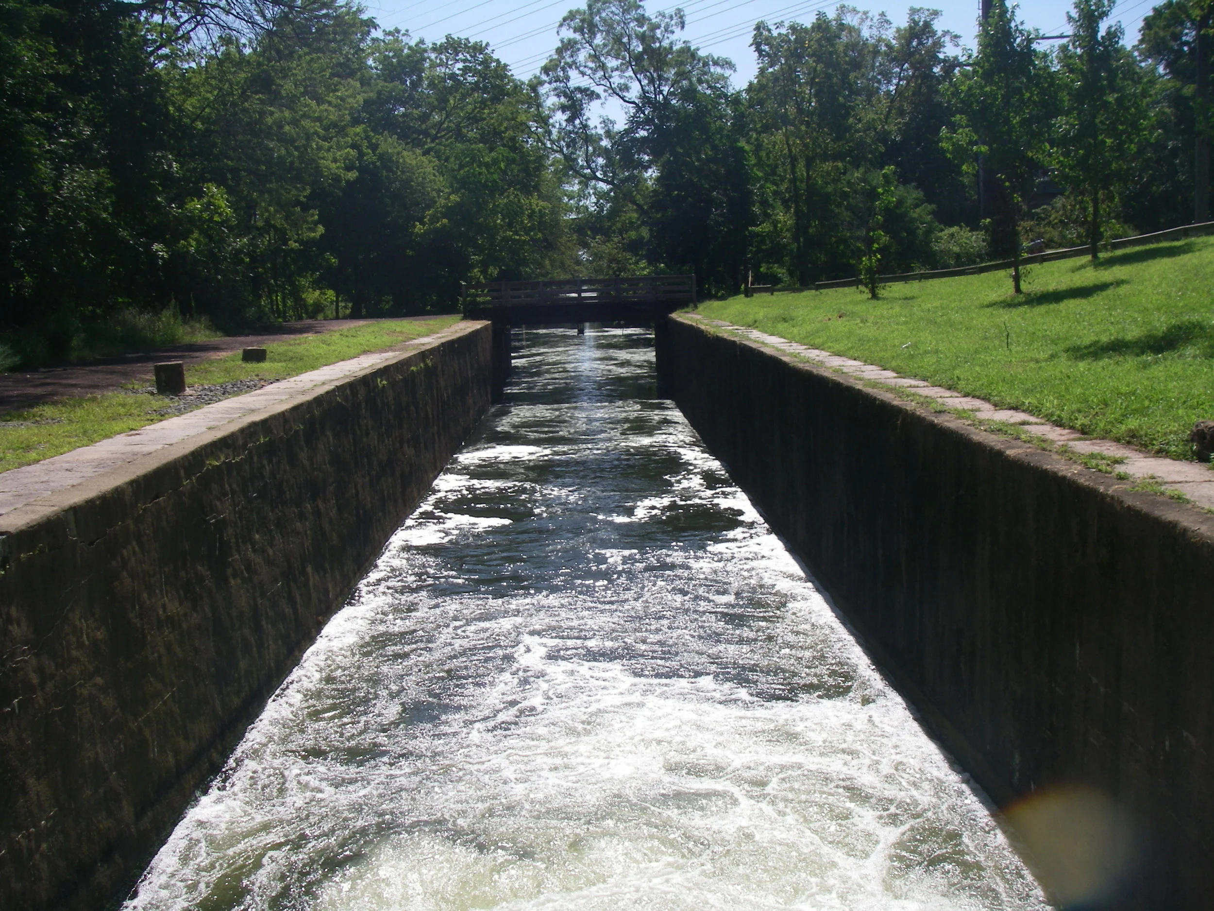 IMGP5289.JPG