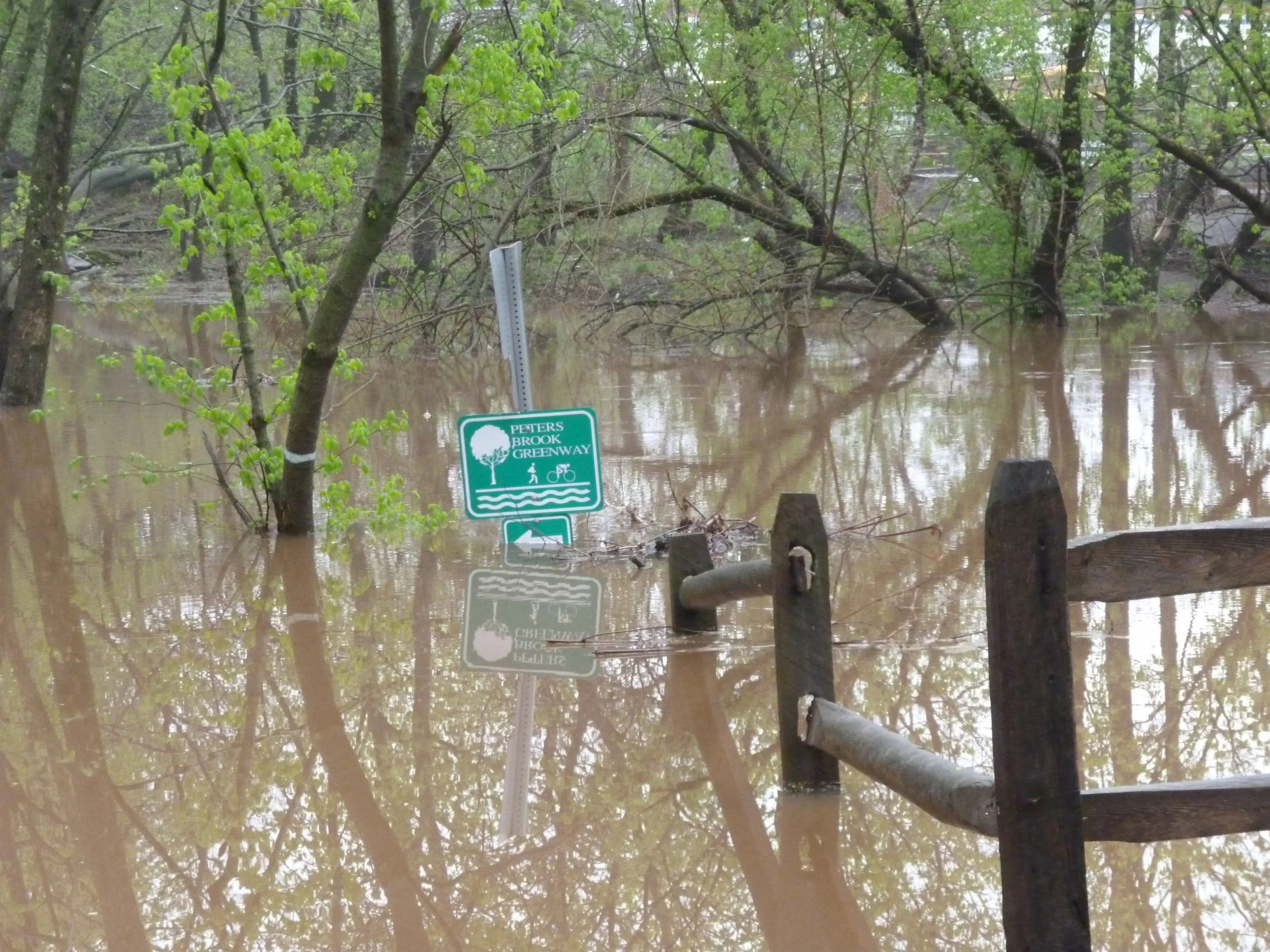 Peters Br  5_1_2014.JPG