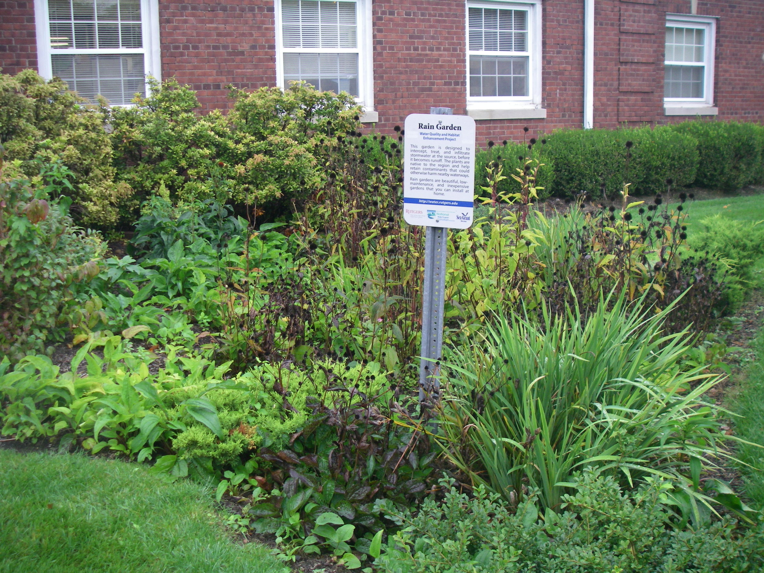 Install A Rain Garden Watershed Protection Programs