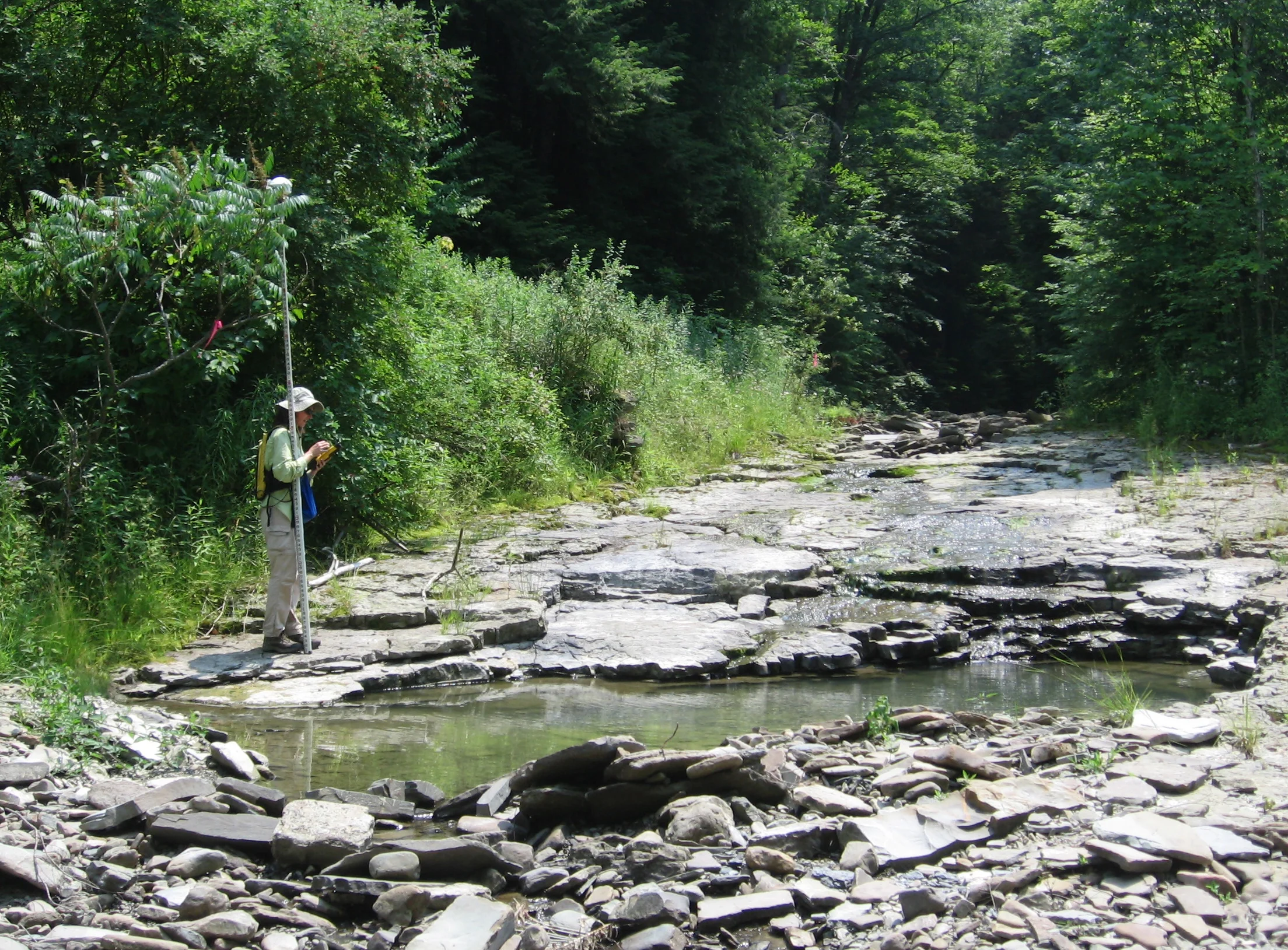 Stream Inventories.JPG