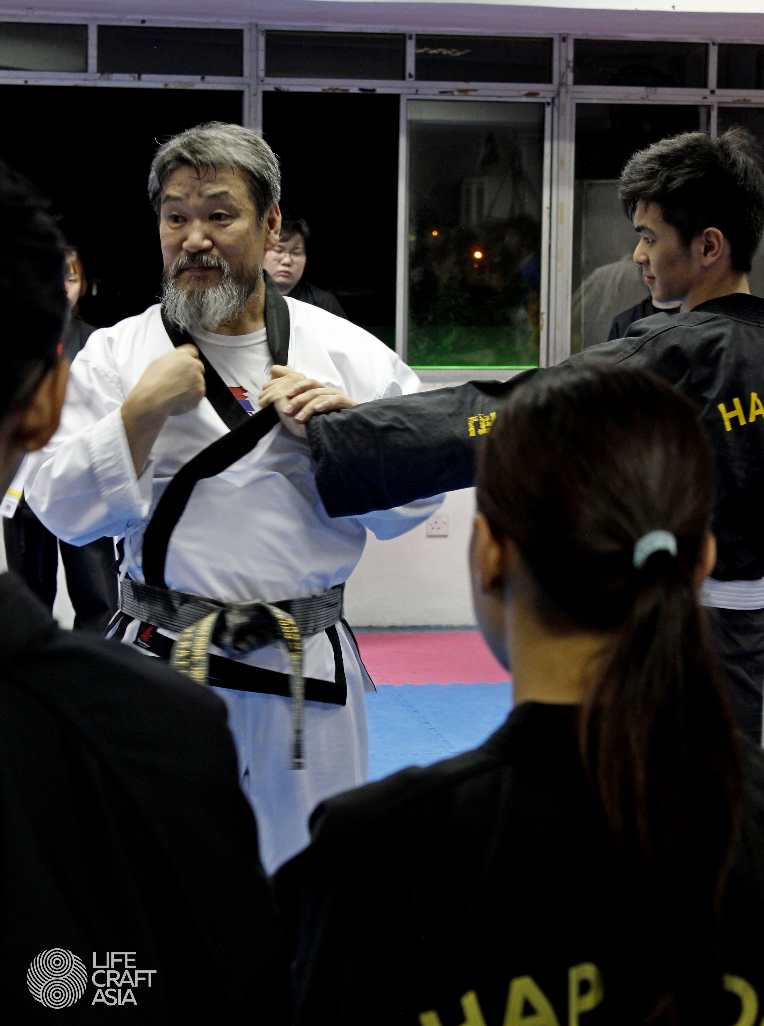 LifeCraft Asia - Hapkido
