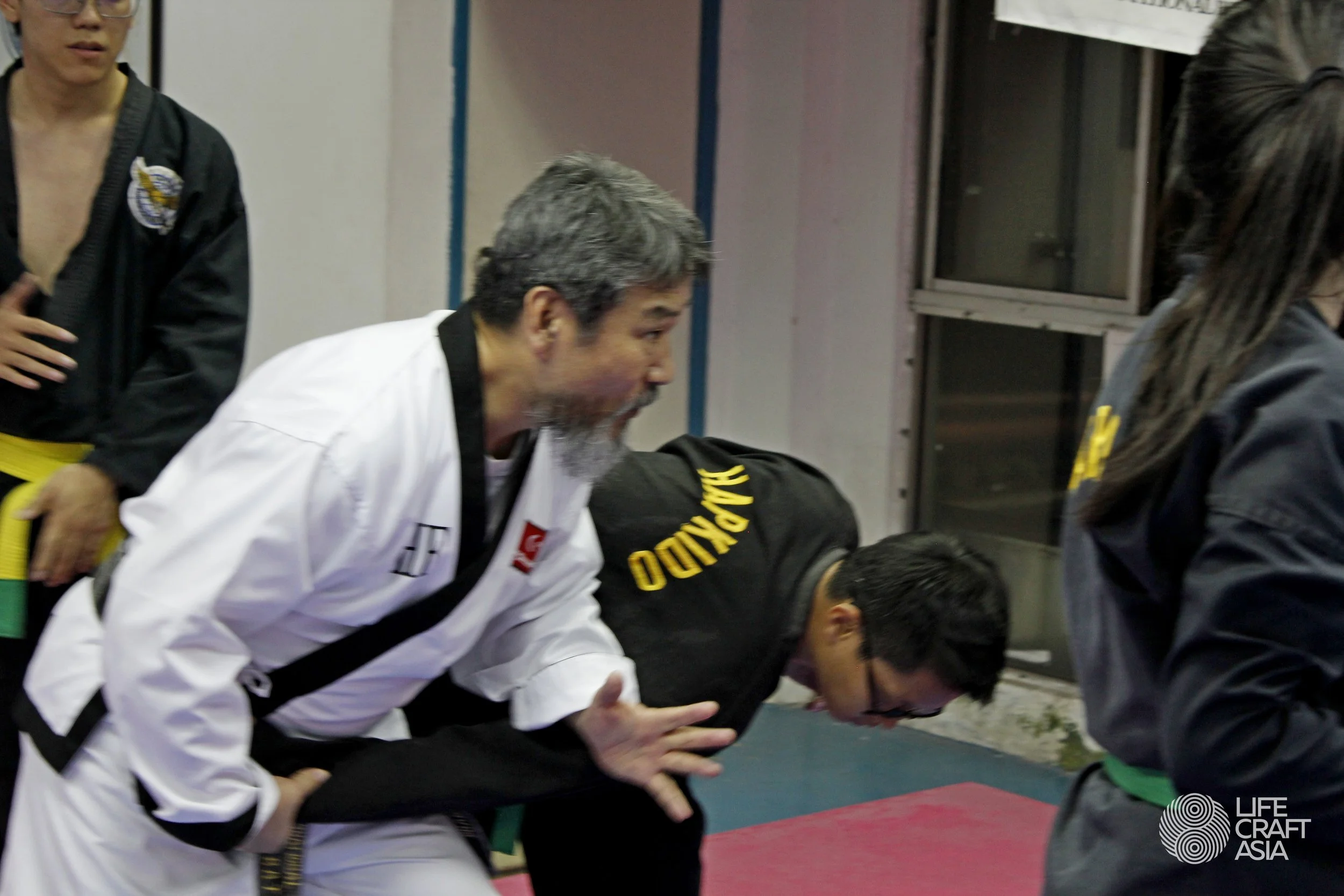 LifeCraft Asia - Hapkido