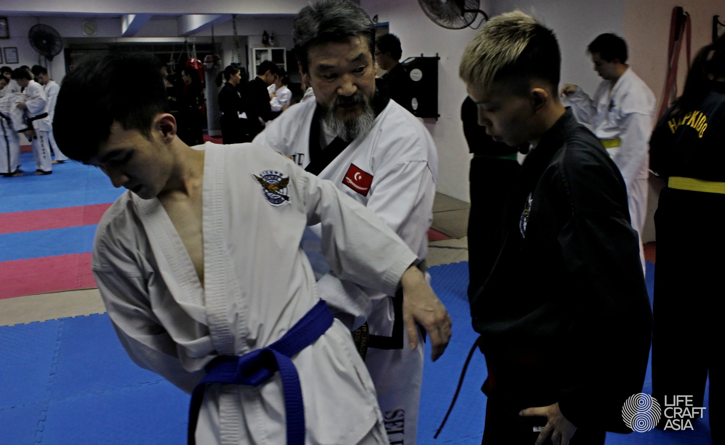 LifeCraft Asia - Hapkido