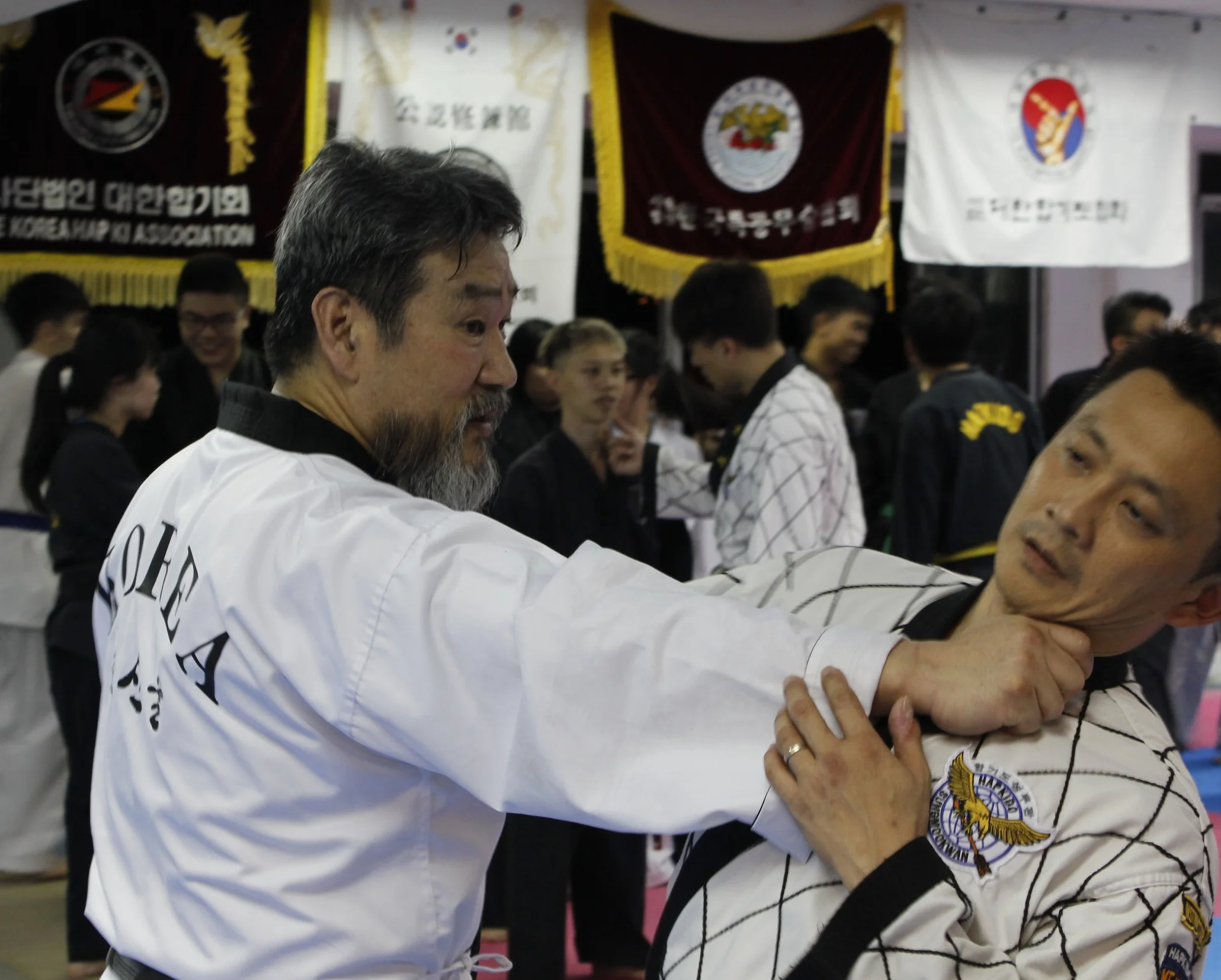Launch of LifeCraft Asia website - Welcome Grand Master Hwang Young Jin (9th Dan Hapkido)  