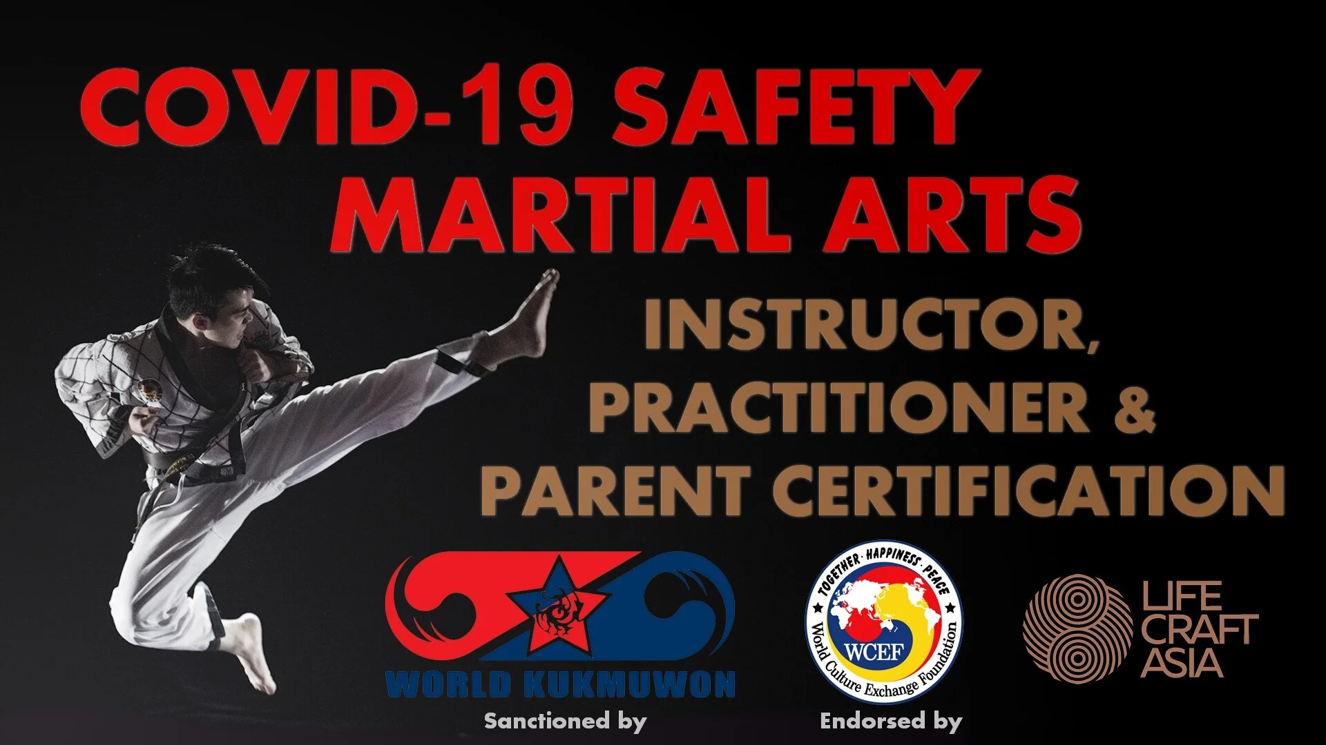 lifecraft Safety Martial Arts Instructor, Practitioner and Parent Certification