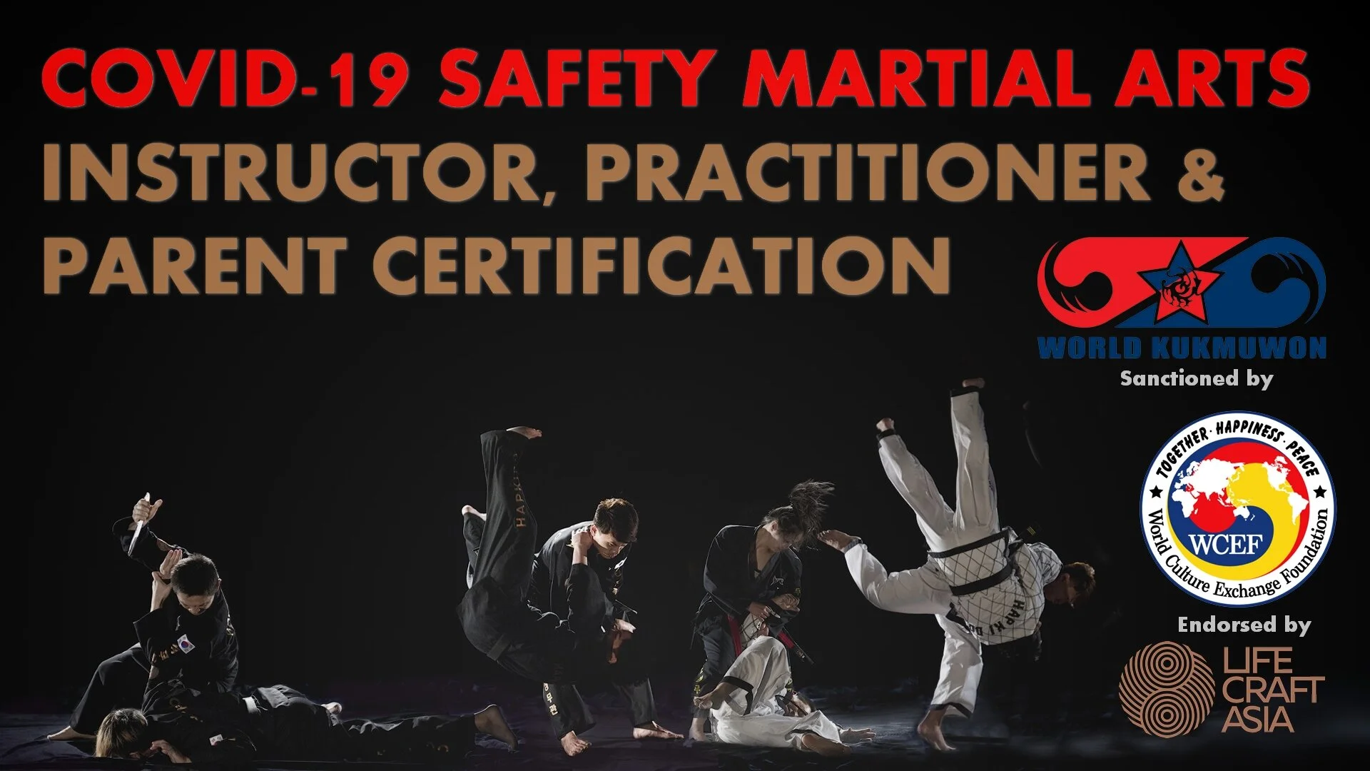 LIFECRAFT Safety Martial Arts Instructor, Practitioner and Parent Certification