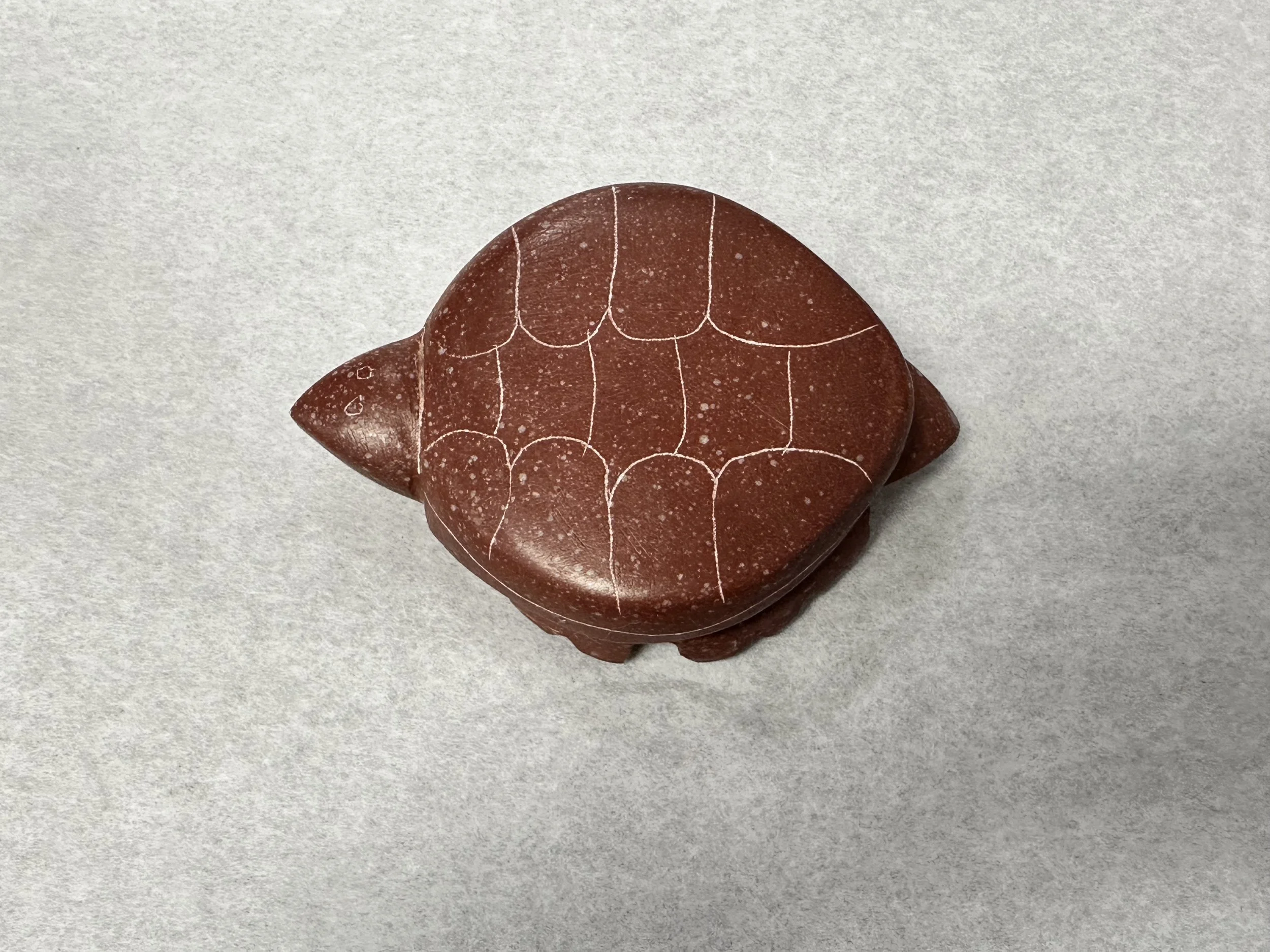 Large turtle JM 1-2.jpeg