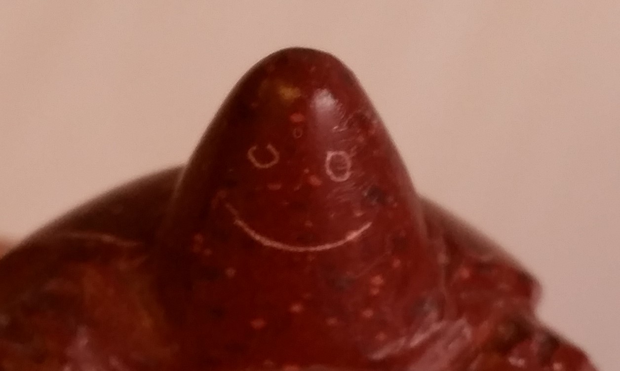 20170326_113435.jpg