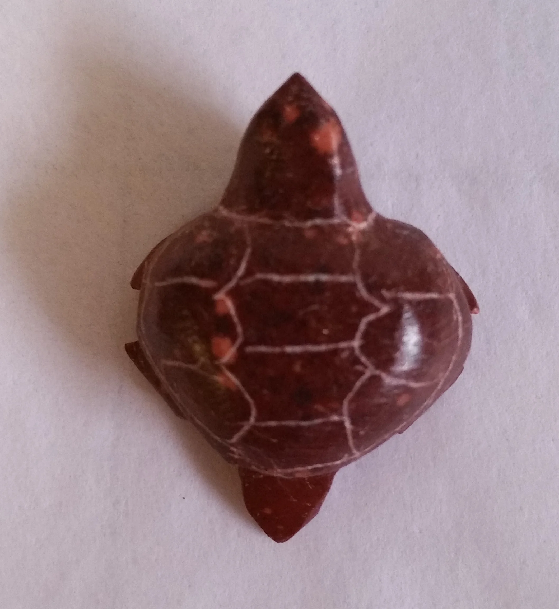 20170402_085823.jpg