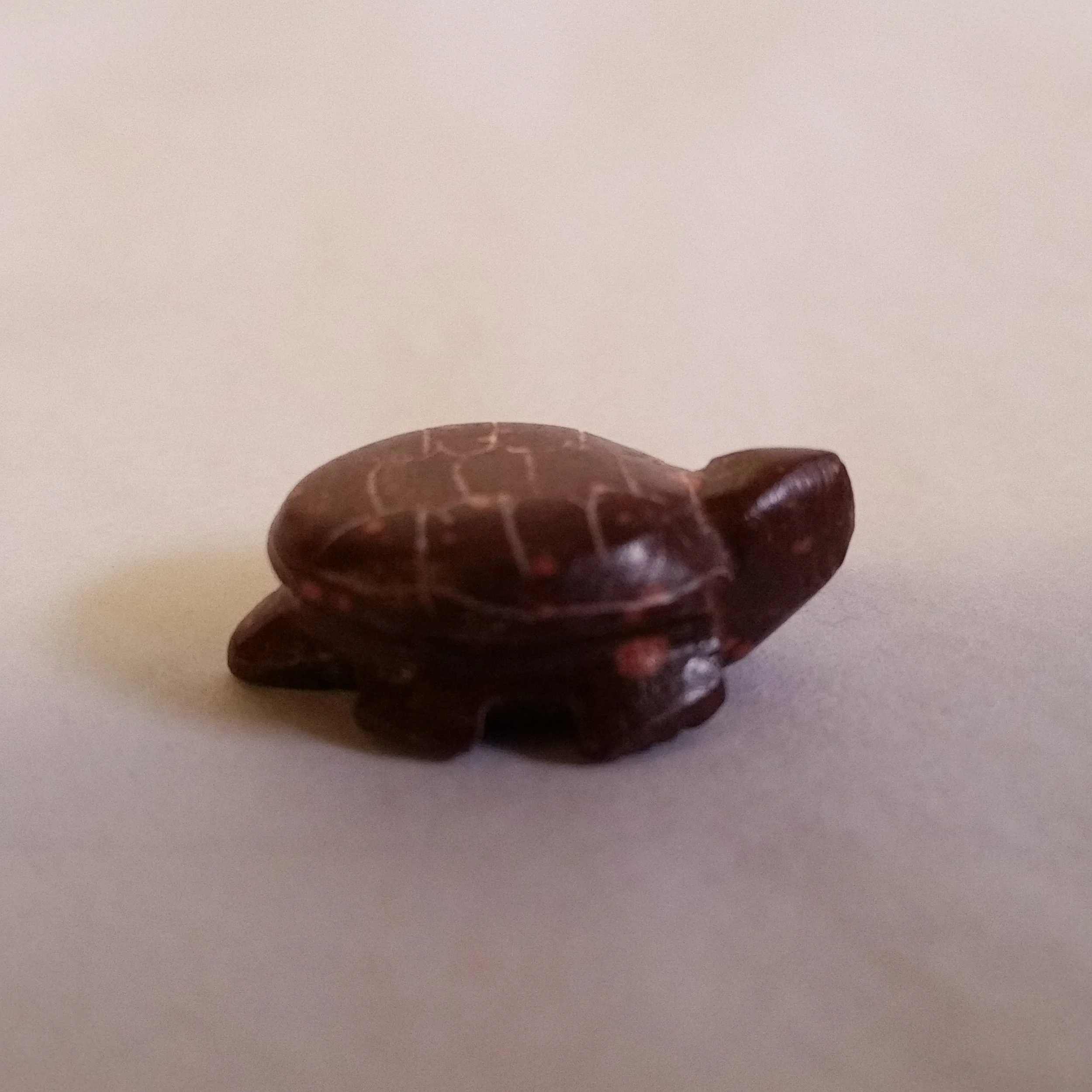 20170402_090841.jpg