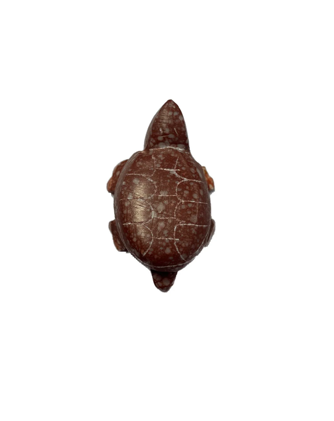 SQ3648364 NEW PHOTO.JPG