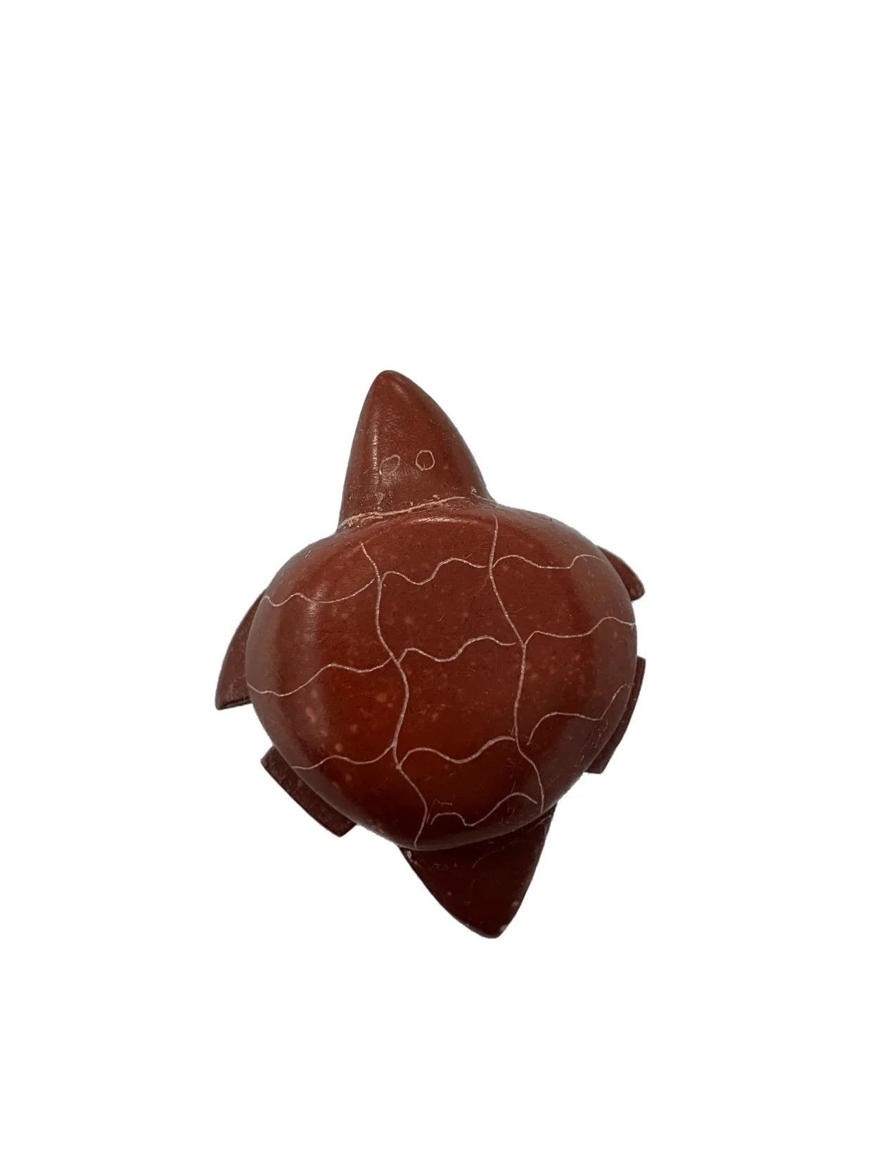 jp regular turtle magnet.JPG