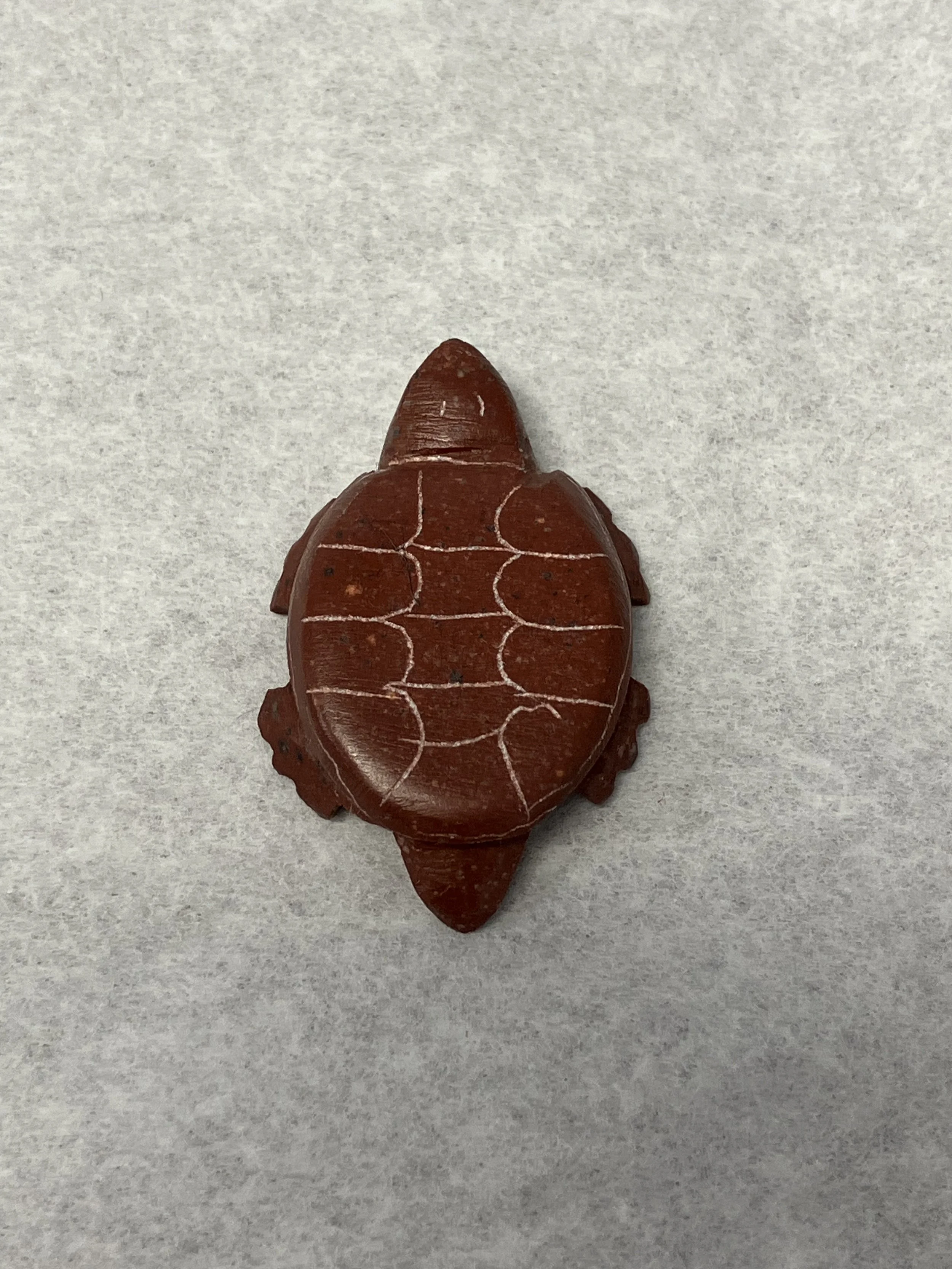 1898 JM turtle 1-2.JPG