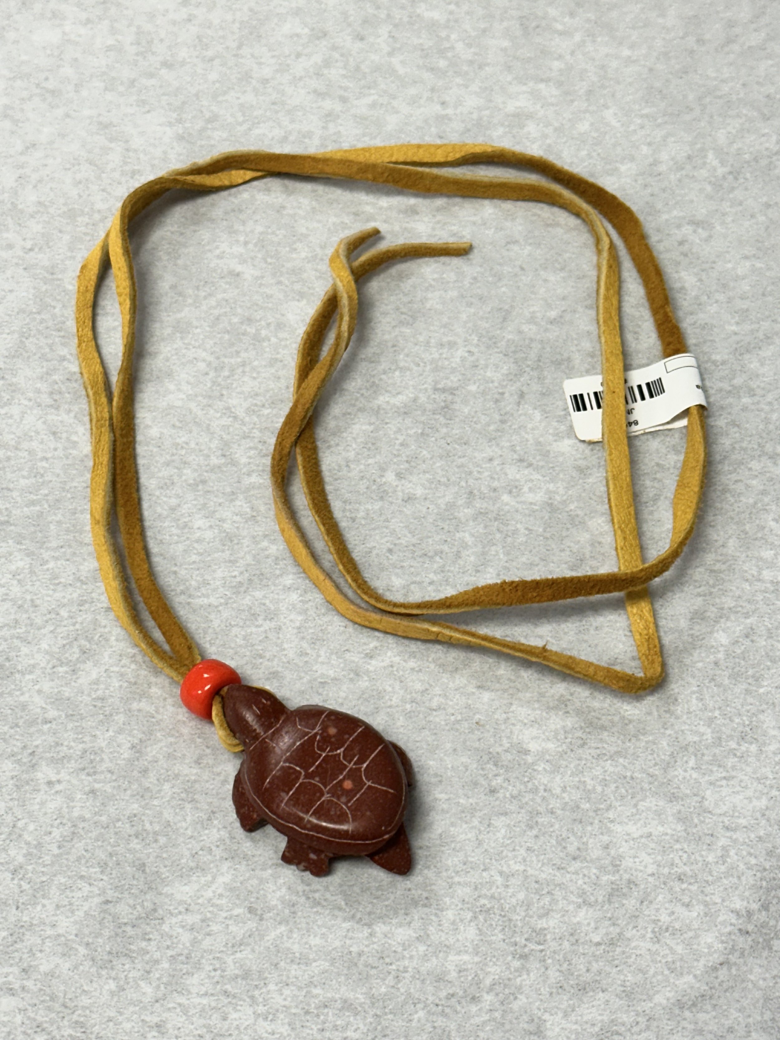 orange turtle 1-1.jpeg