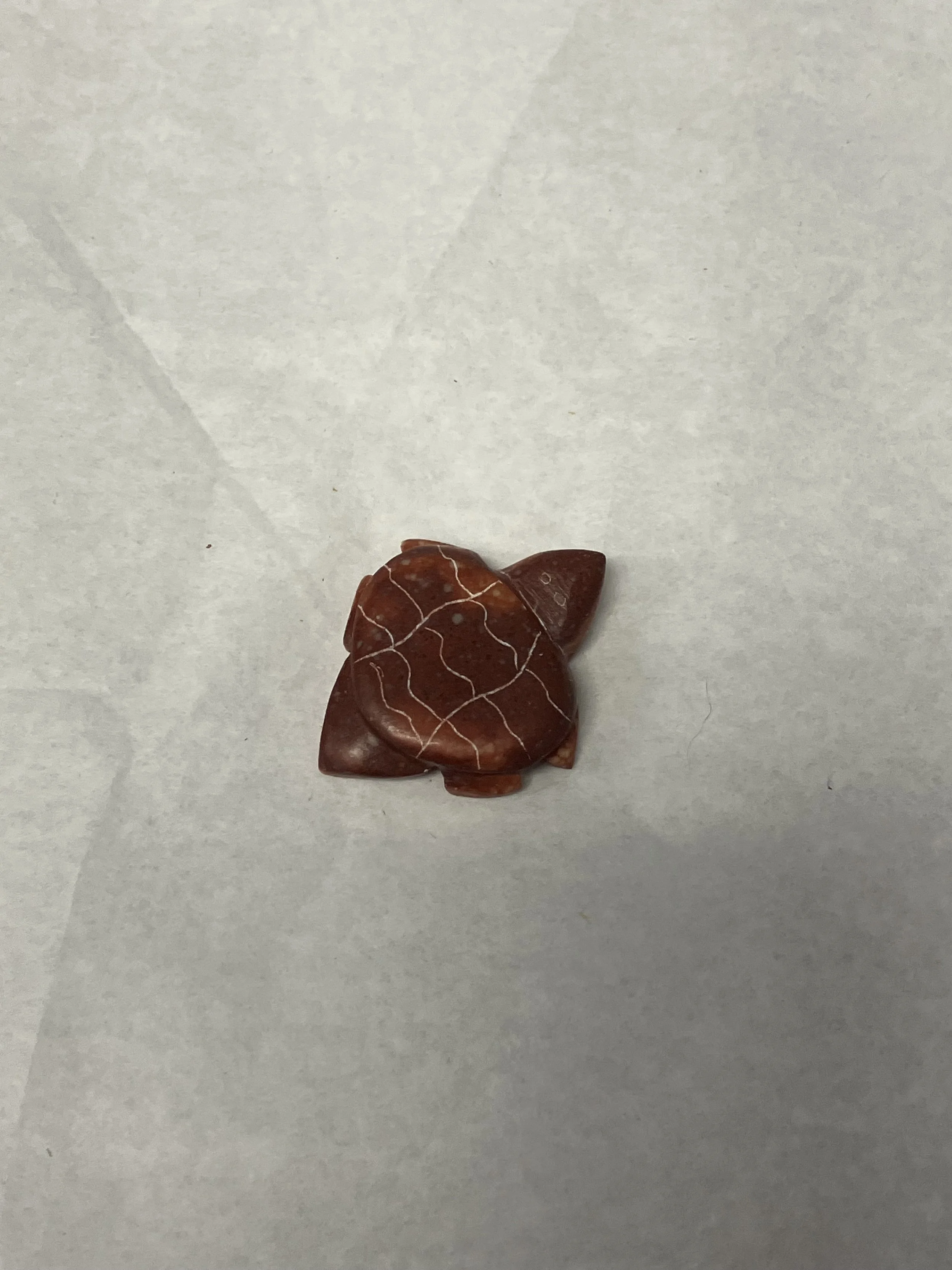 JP XSM light on left and right turtle.jpeg